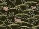 Mind The Gap Transylvanian Roots Countryside By Night - WP20541