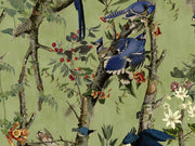 Mind The Gap The Wetlands Birds Of Danube - Wp20715