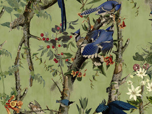 Mind The Gap The Wetlands Birds Of Danube - Wp20715