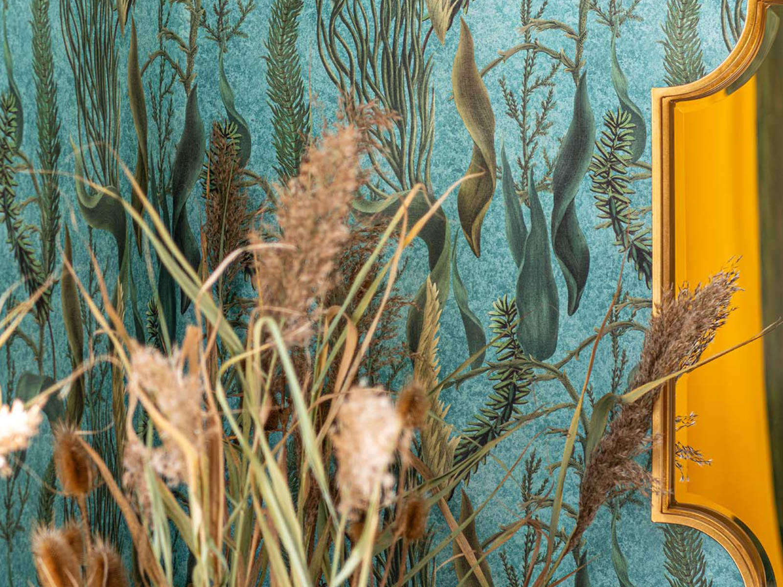 Mind The Gap The Wetlands Aquatic Plants - Wp20716