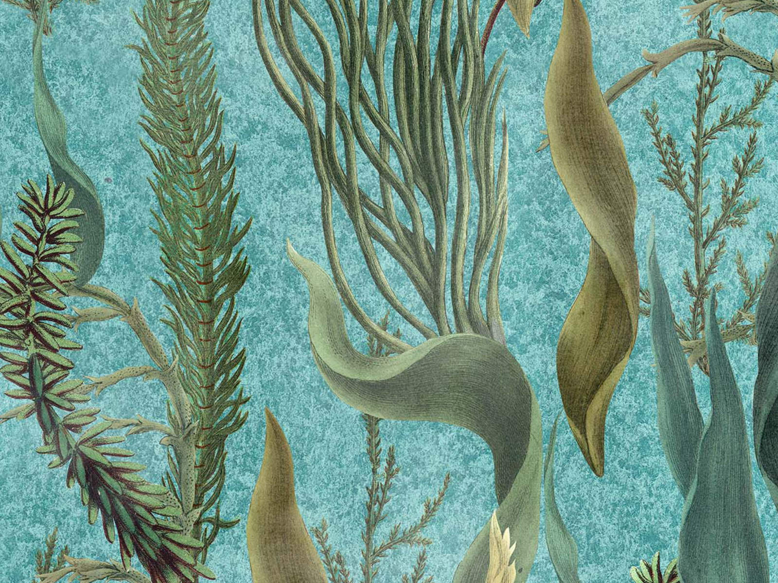 Mind The Gap The Wetlands Aquatic Plants - Wp20716