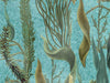 Mind The Gap The Wetlands Aquatic Plants - Wp20716