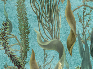 Mind The Gap The Wetlands Aquatic Plants - Wp20716