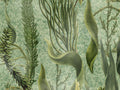 Mind The Gap The Wetlands Aquatic Plants - Wp20717