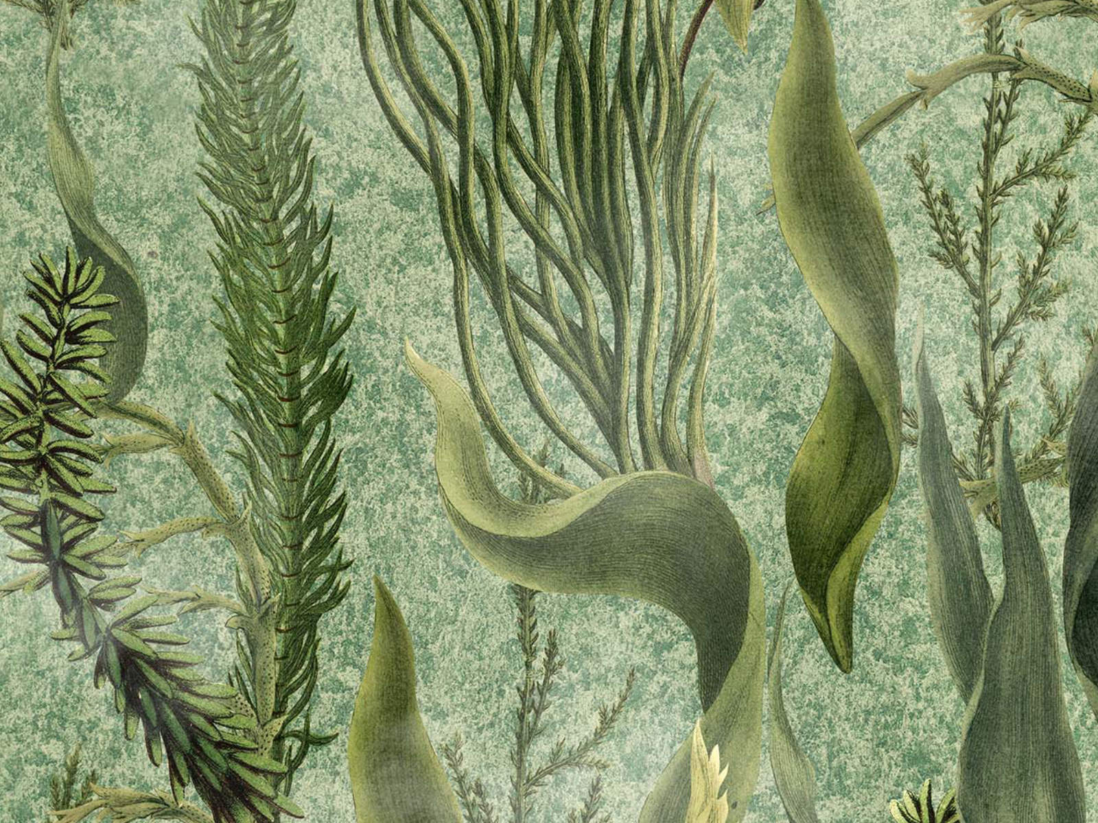 Mind The Gap The Wetlands Aquatic Plants - Wp20717