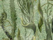 Mind The Gap The Wetlands Aquatic Plants - Wp20717