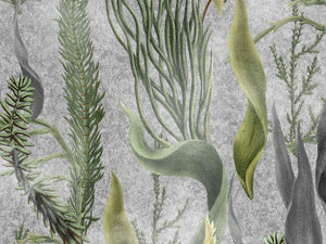 Mind The Gap The Wetlands Aquatic Plants - Wp20718