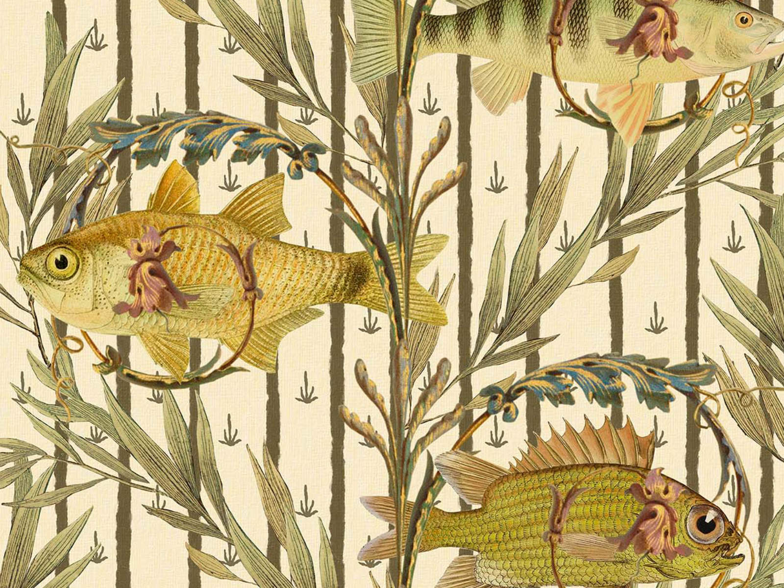 Mind The Gap The Wetlands Sweet Water Fishes - Wp20720