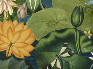 Mind The Gap The Wetlands Lotus Blossem - Wp20723