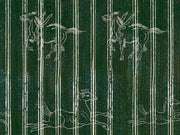 Mind The Gap Transylvanian Roots A Fable Evergreen - WP30002