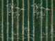 Mind The Gap Transylvanian Roots A Fable Evergreen - WP30002