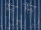 Mind The Gap Transylvanian Roots A Fable Indigo - WP30003