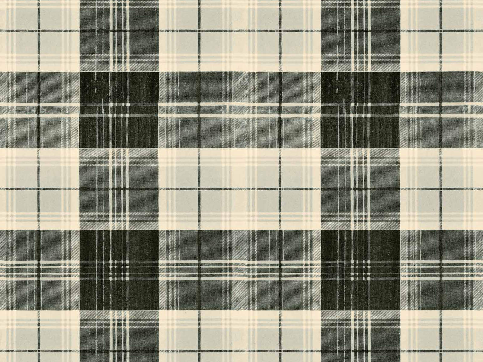 Mind The Gap Transylvanian Roots Countryside Plaid Charcoal - WP30011