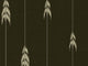 Mind The Gap Tyrol Aprés-Ski Fir Pattern Juniper - WP30149