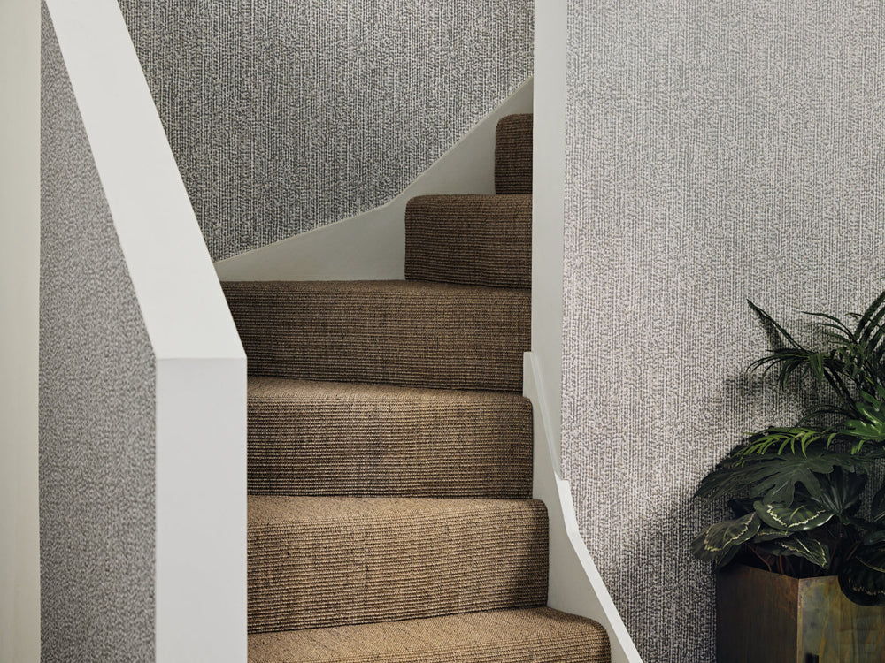 Romo Picota Ezri - Swedish Grey W43202
