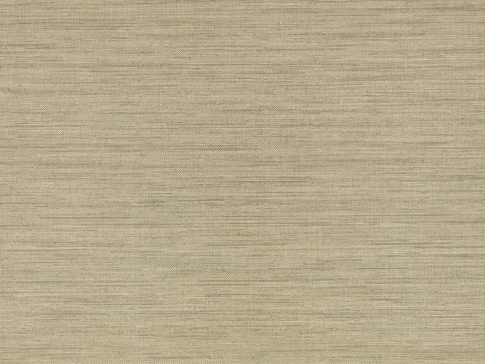 Romo Textured Wallcoverings Volume 1 Ciro Abaca - W462/15