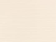Romo Textured Wallcoverings Volume 1 Raya Silk - W464/01