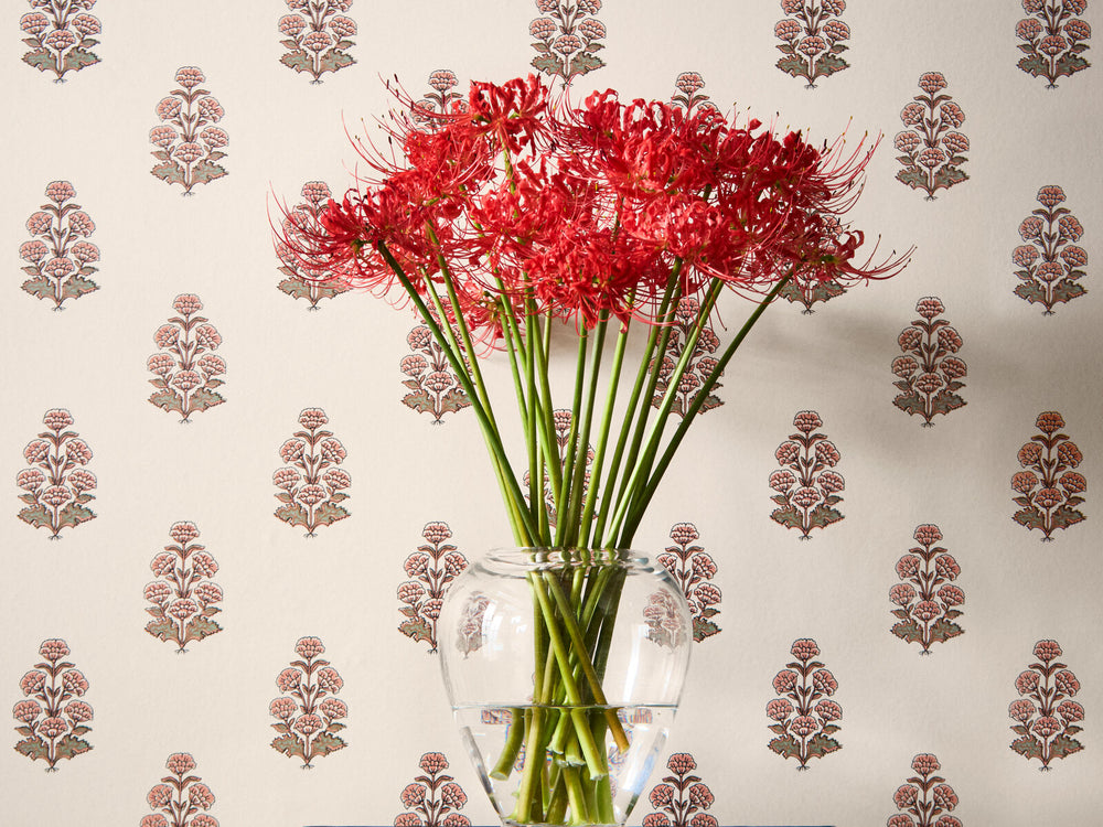 Thibaut Boxwood Audrey - T10523