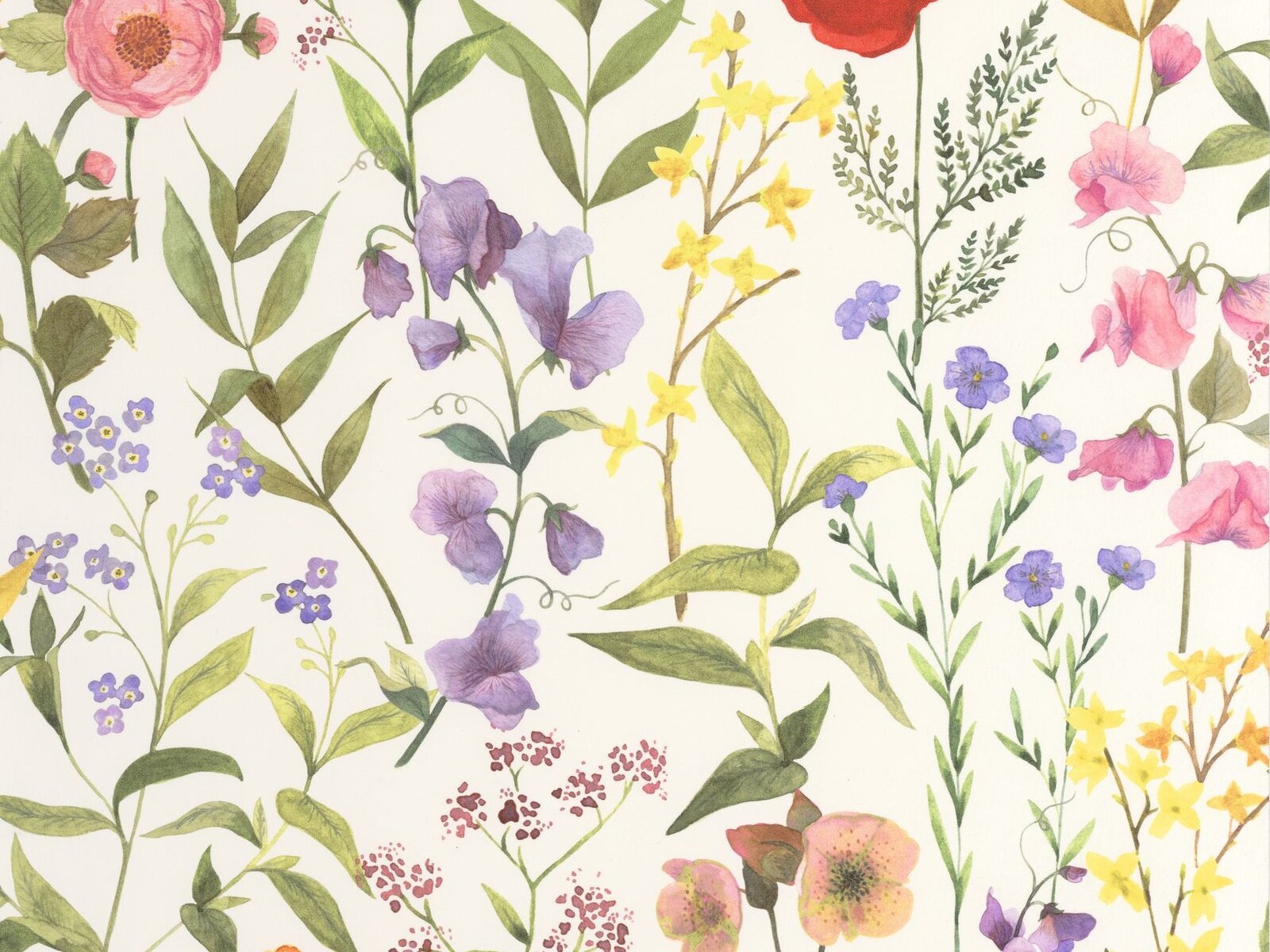 Casadeco Le Beau Jardin Fleurs Des Champs - 87652874