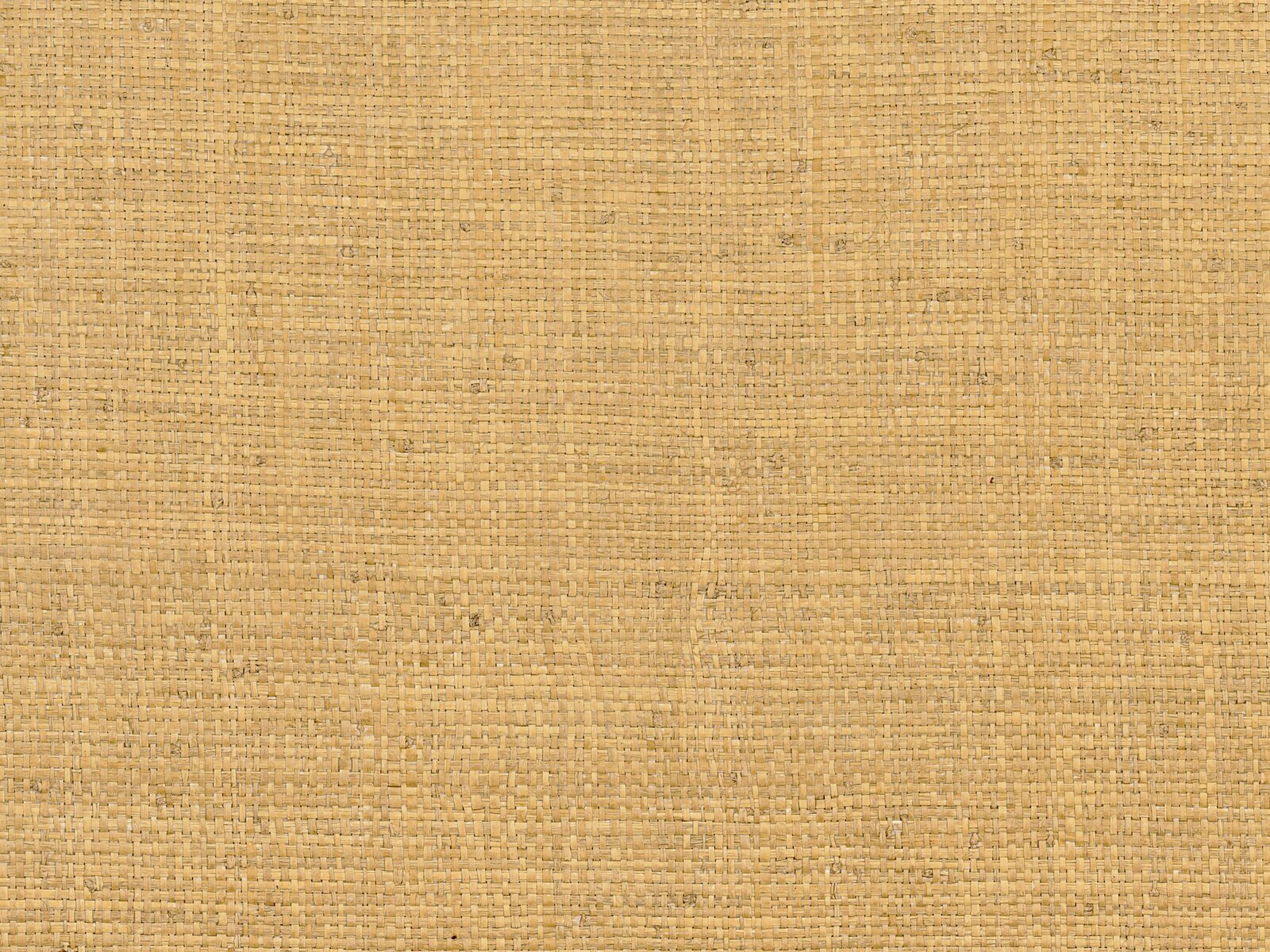 Casamance Tramis Palawan - A71170557