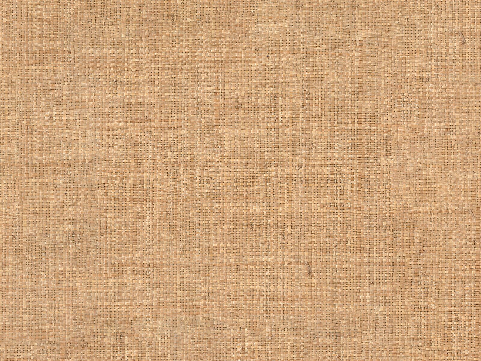 Casamance Tramis Palawan - A71170667