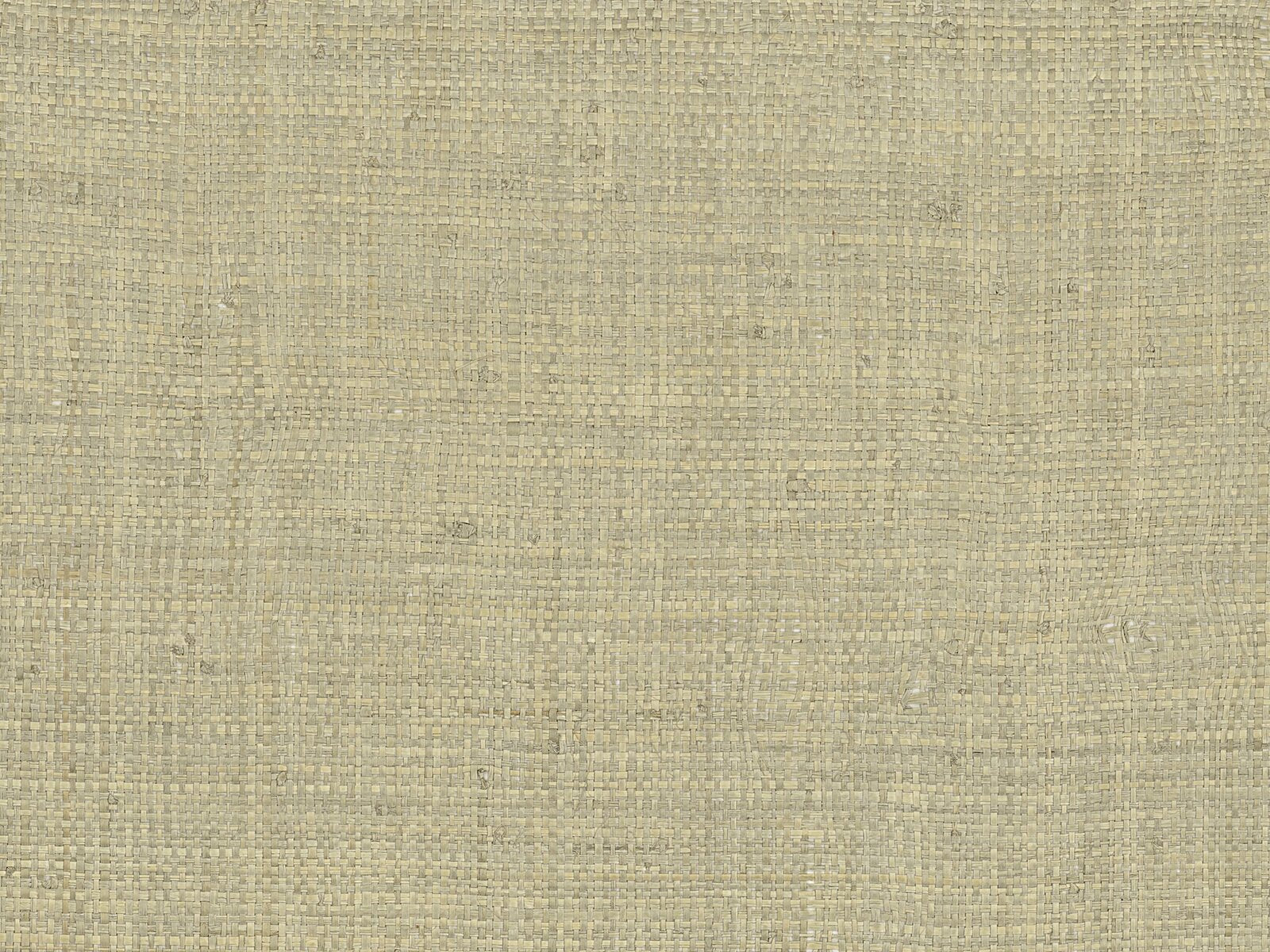 Casamance Tramis Palawan - A71170887