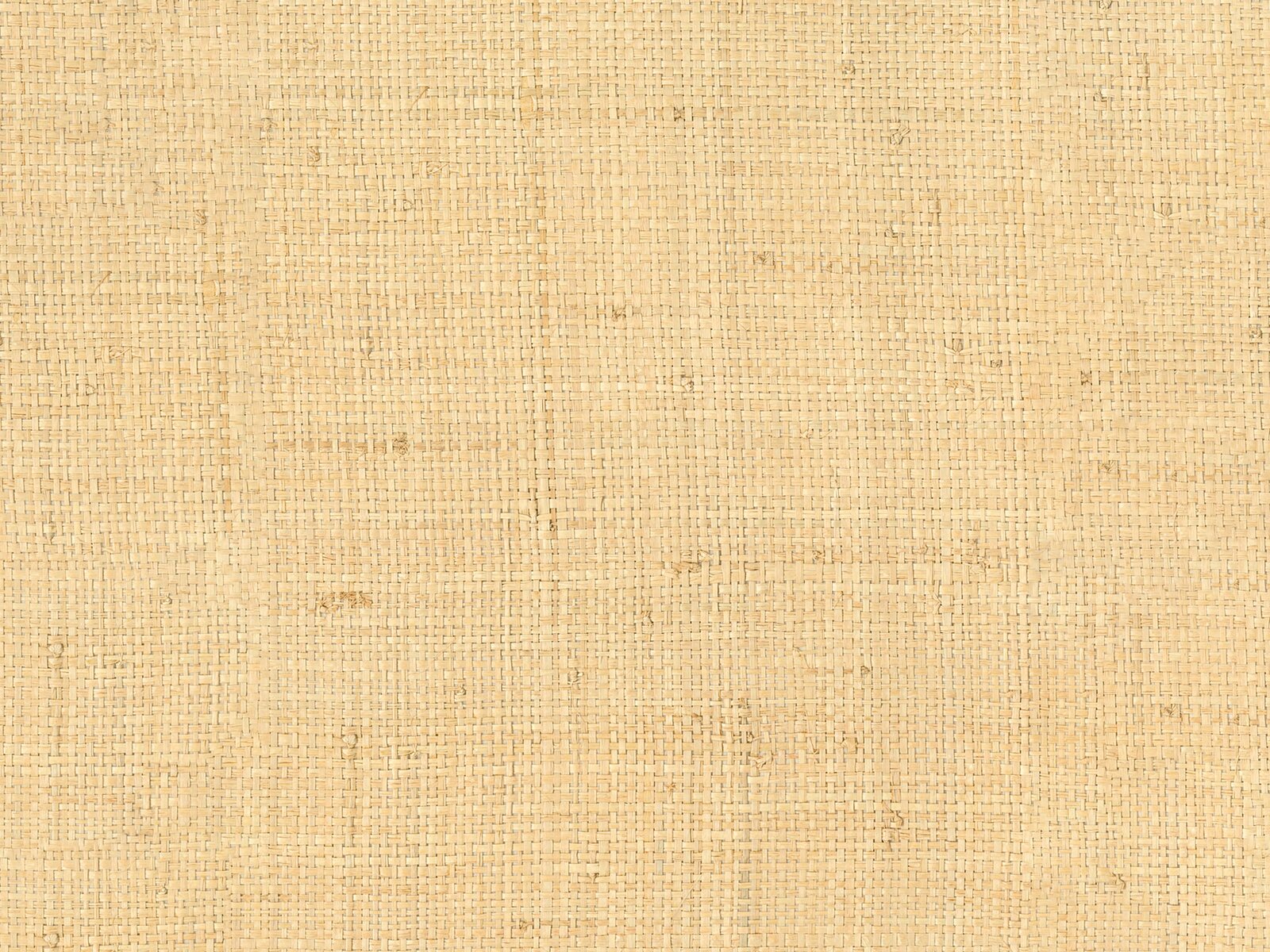 Casamance Tramis Palawan - A71171609
