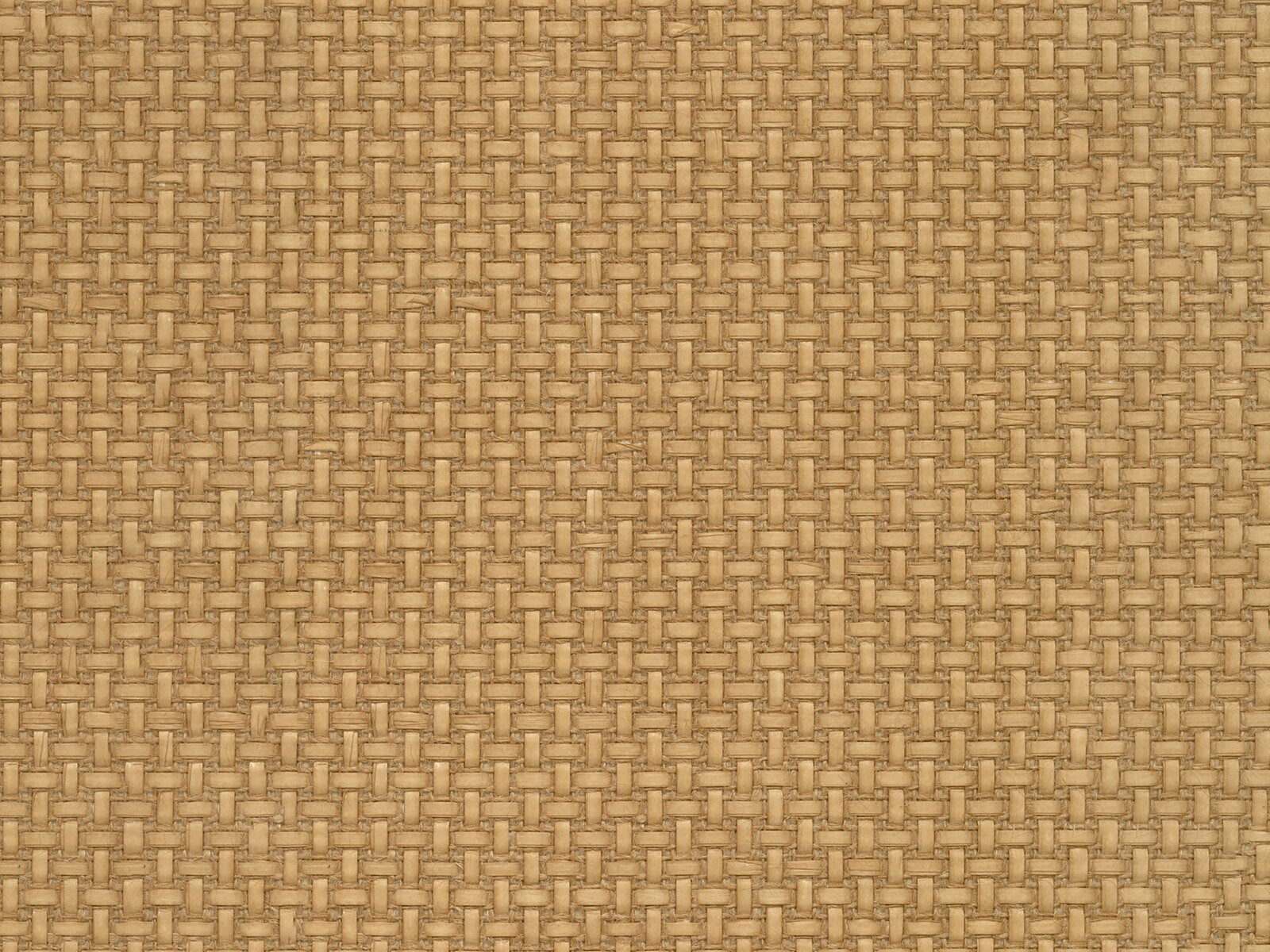 Casamance Tramis Fibrosa - 71920435