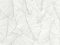 Caselio Moonlight III Vegetalia - 106500929