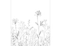 Caselio Moonlight III Field Line Noir Et Blanc L - 107220904