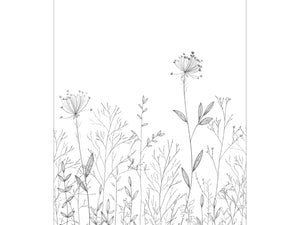 Caselio Moonlight III Field Line Noir Et Blanc L - 107220904