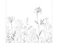 Caselio Moonlight III Field Line Noir Et Blanc S - 107220905