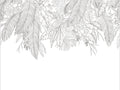 Caselio Moonlight III Descendant Jungle Noir Blanc L - 107260909
