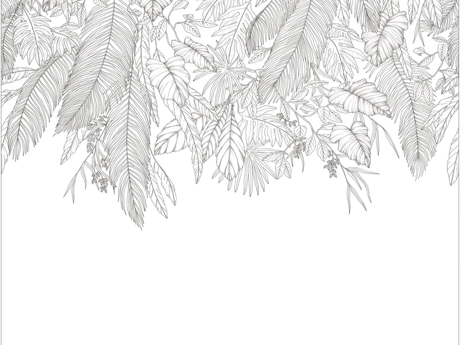 Caselio Moonlight III Descendant Jungle Noir Blanc L - 107260909