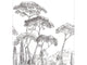 Caselio Moonlight III Forest Of Pinea M - 107290903