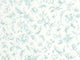 Caselio Blue Shades Pastelia - 107506000
