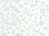 Caselio Blue Shades Pastelia - 107506000