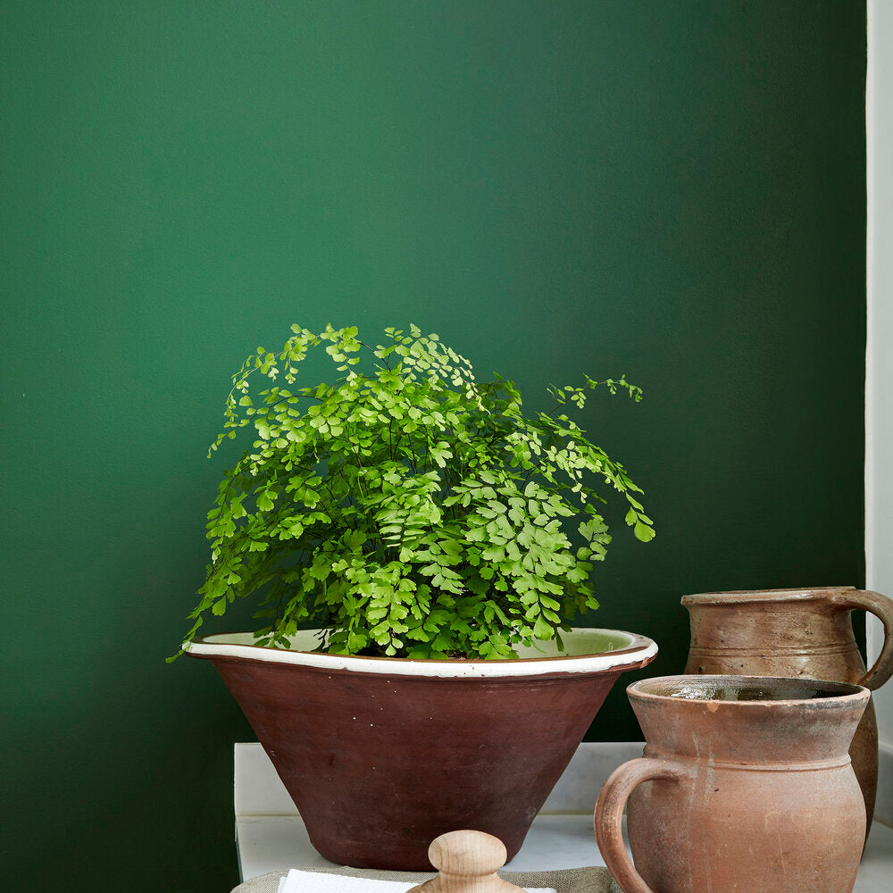 Little Greene Verf Dark Brunswick Green - 88