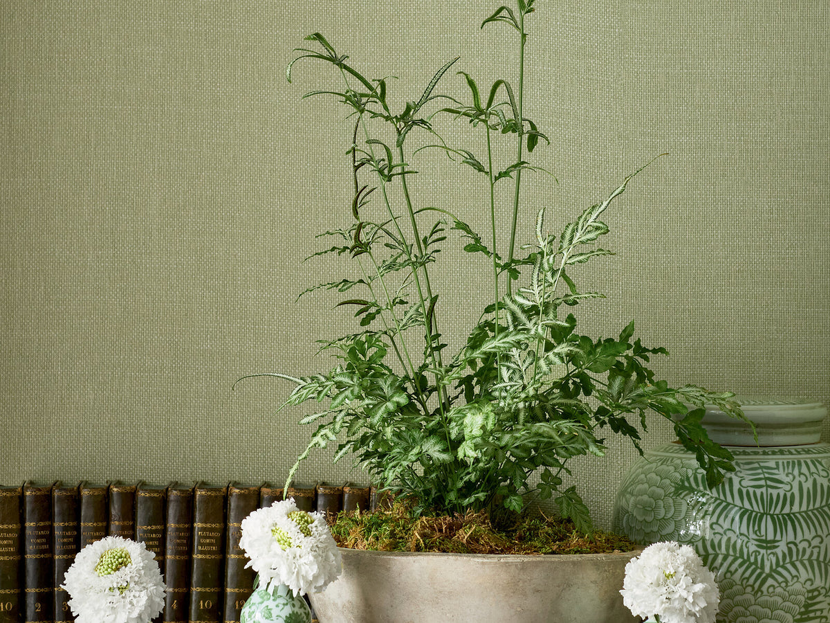 Thibaut Grasscloth Resource 7 Hampton - T10346