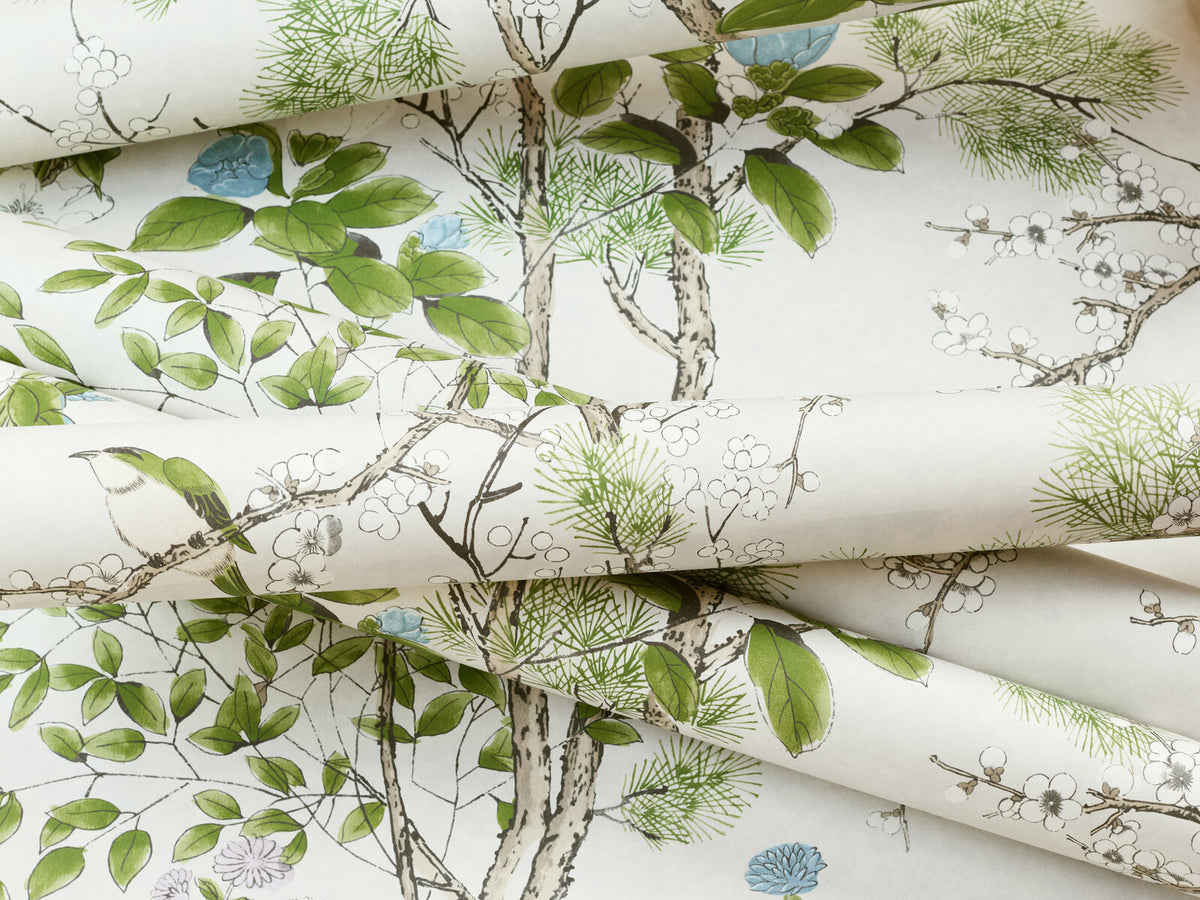 Thibaut Grand Palace Katsura - T13622
