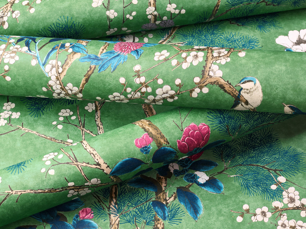 Thibaut Grand Palace Katsura - T13623