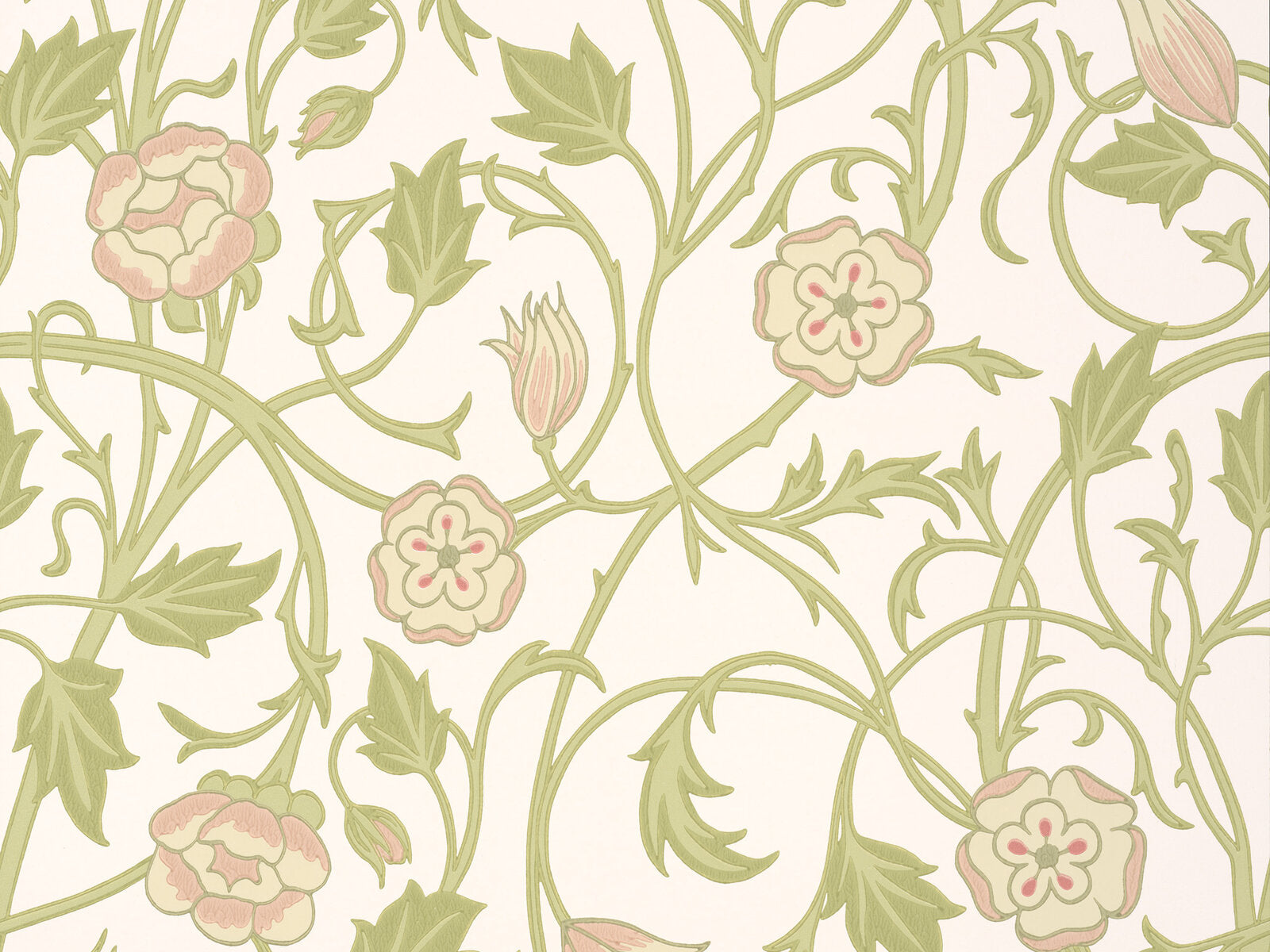 Little Greene In The Garden May'S Tulip - Clay