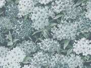 Little Greene In The Garden Rhododendron Walk - Hick's Blue