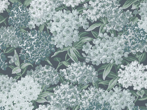 Little Greene In The Garden Rhododendron Walk - Hick's Blue