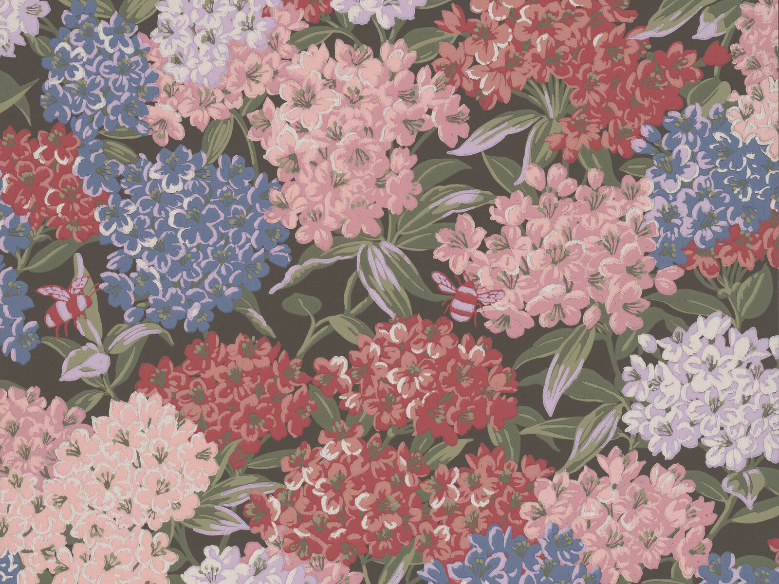 Little Greene In The Garden Rhododendron Walk - Canton
