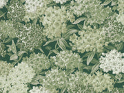 Little Greene In The Garden Rhododendron Walk - Invisible Green