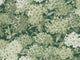 Little Greene In The Garden Rhododendron Walk - Invisible Green