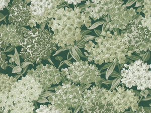 Little Greene In The Garden Rhododendron Walk - Invisible Green