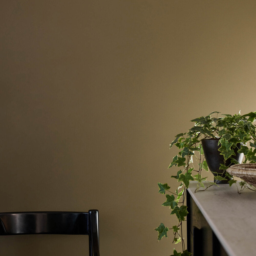 Little Greene Verf Light Bronze Green - 123