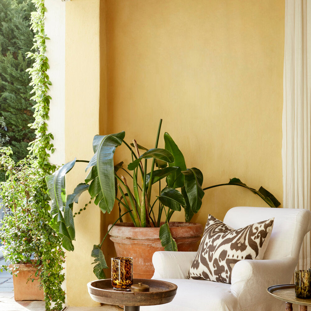 Little Greene Verf Light Gold - 53